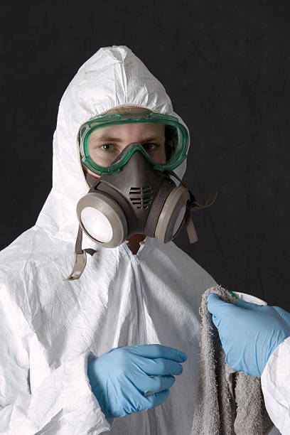 Best Basement Mold Removal  in Burbank, CA